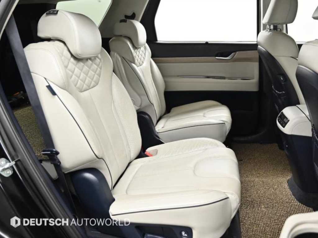 HYUNDAI Palisade - Vista 12