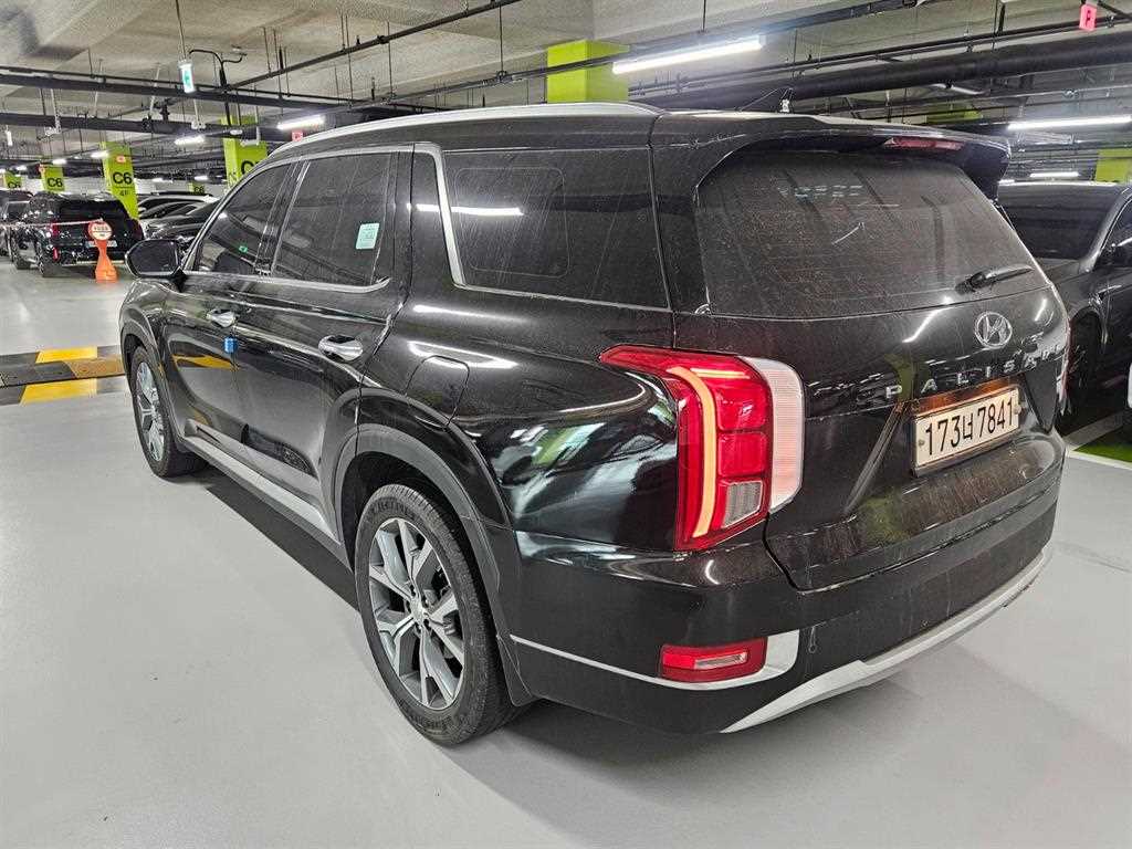 HYUNDAI Palisade - Vista 6