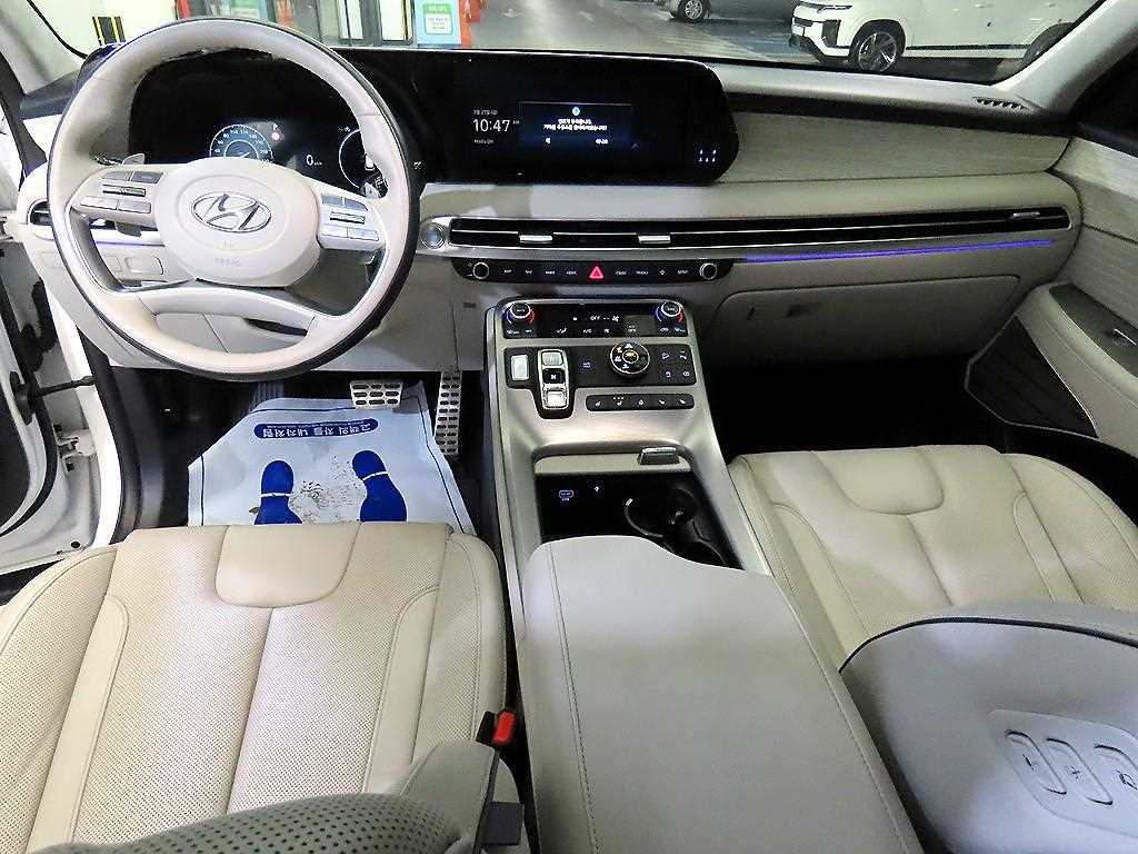 HYUNDAI Palisade - Vista 10