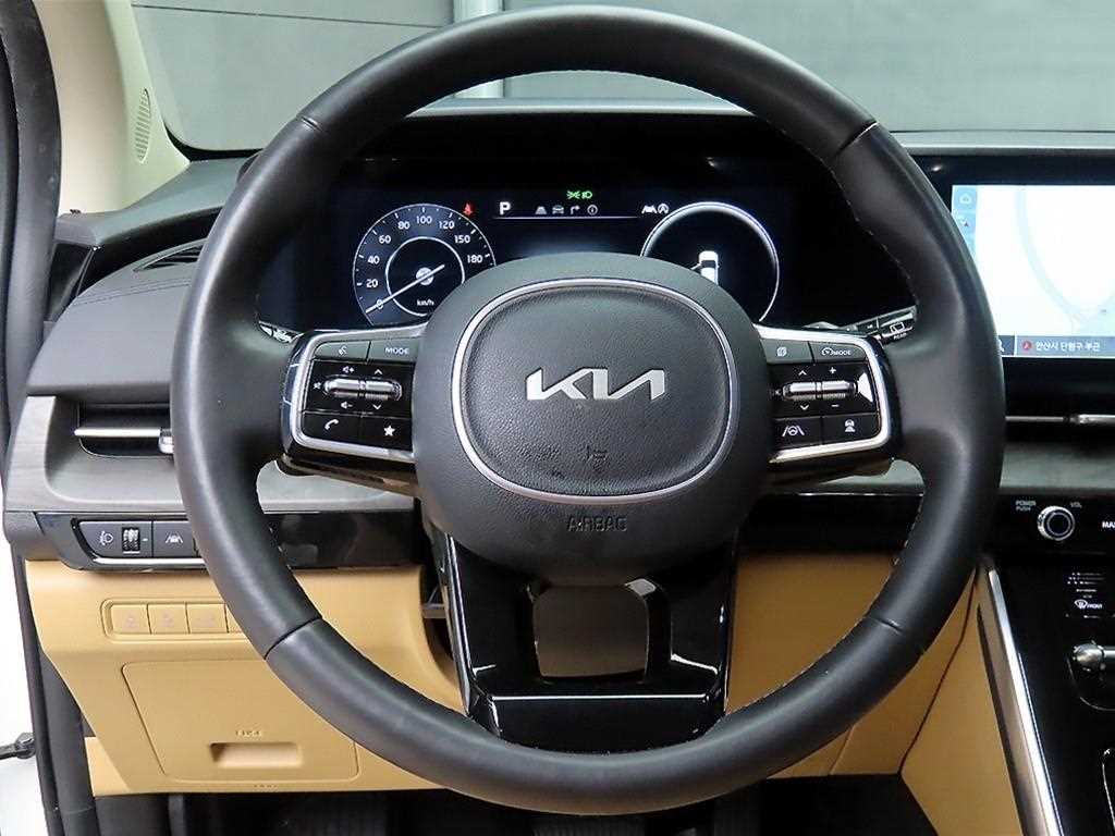 KIA Carnival - Vista 8