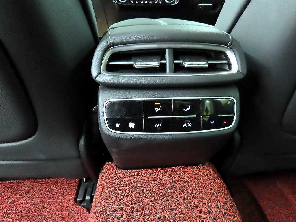 Genesis G80 - Vista 12