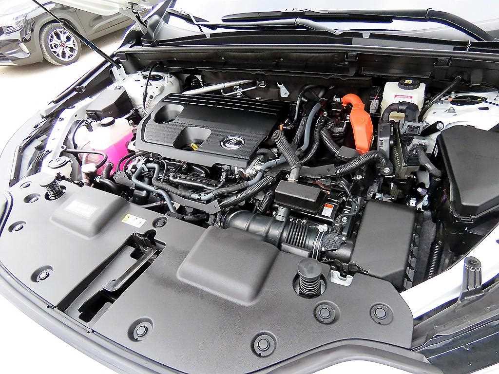 Lexus NX 2025 Blanco - Importación desde Corea - HF Imports Iquique - Foto 19