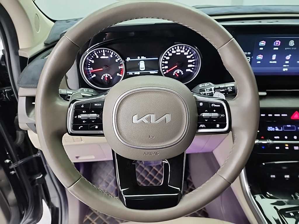KIA Carnival - Vista 9