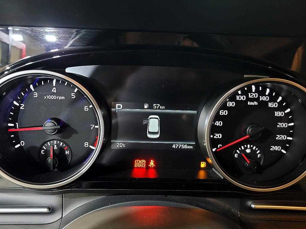 KIA Carnival - Vista 10