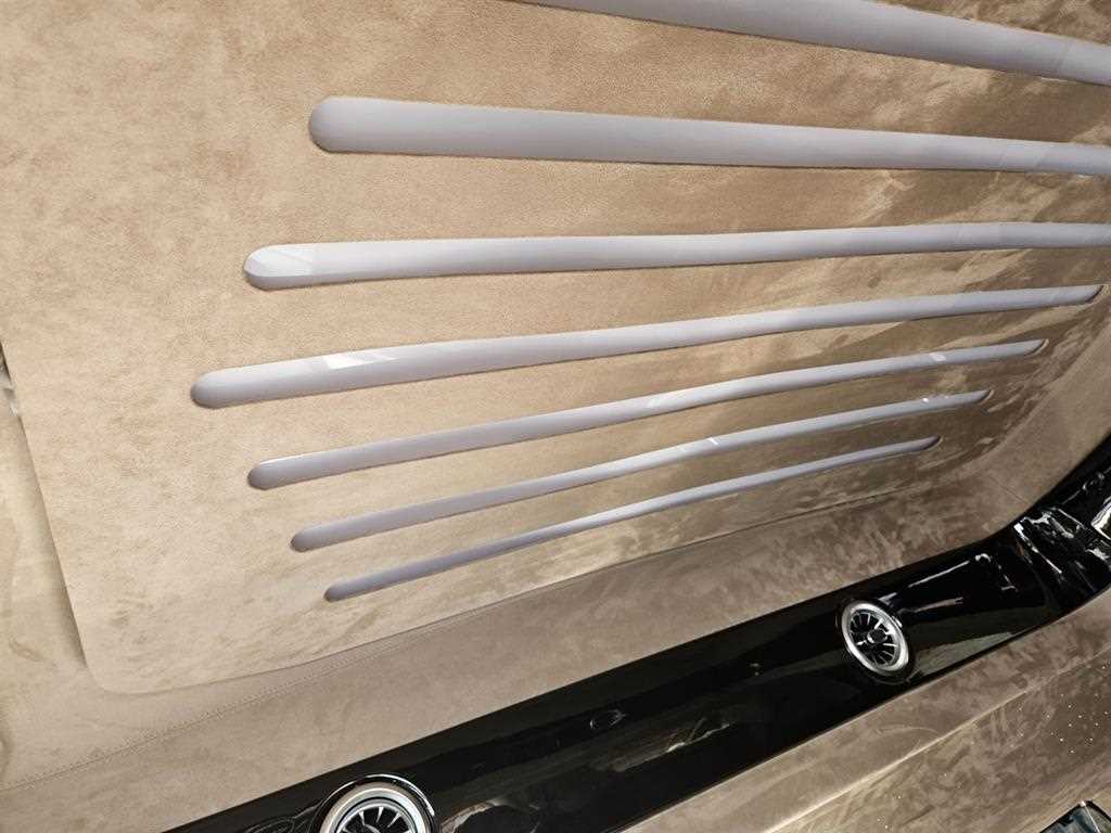 KIA Carnival - Vista 11