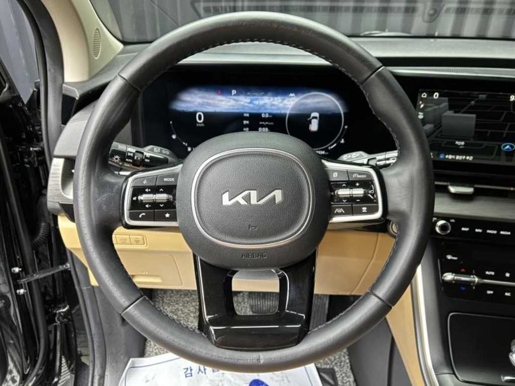 KIA Carnival - Vista 9