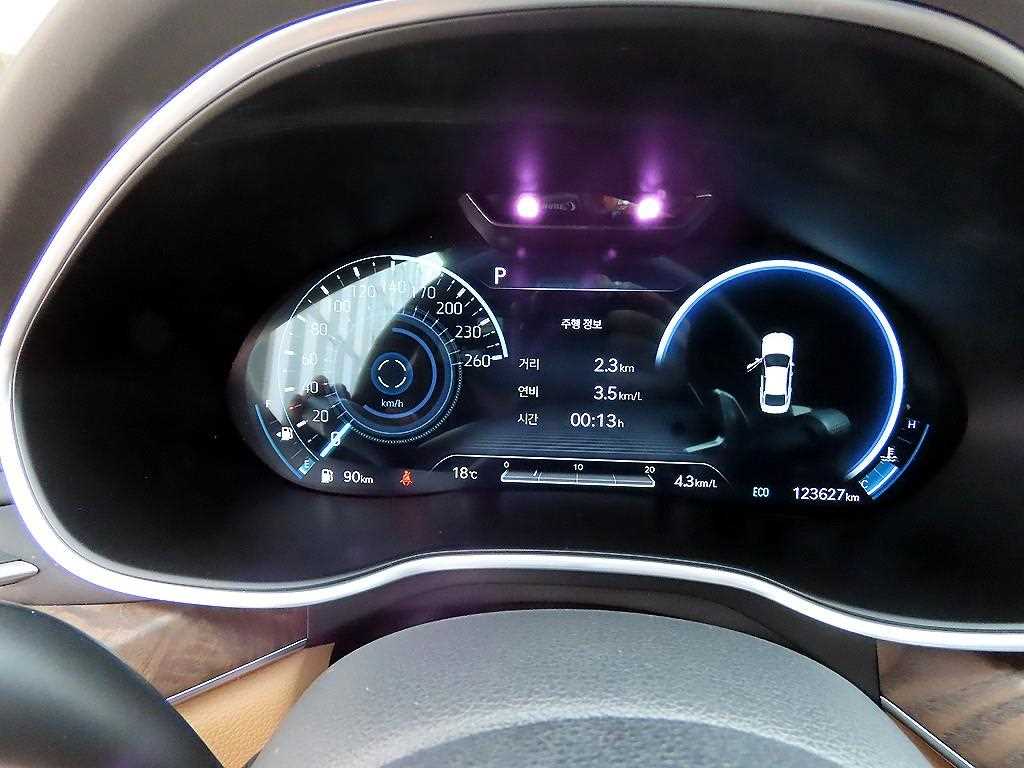 Genesis G80 - Vista 9