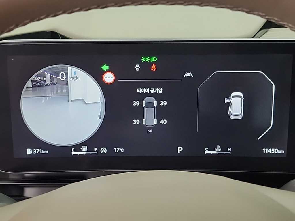 KIA Carnival - Vista 6