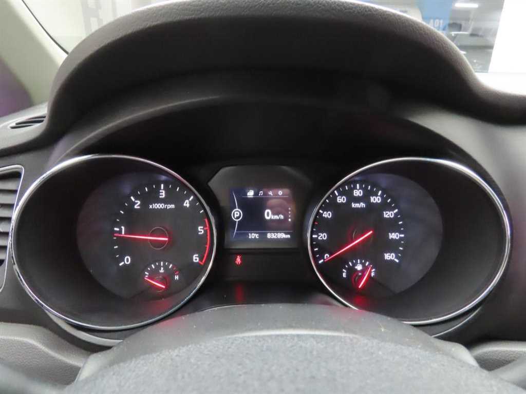 KIA Carnival - Vista 7