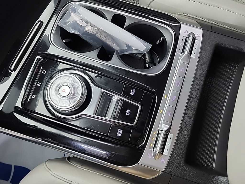 KIA Carnival - Vista 8