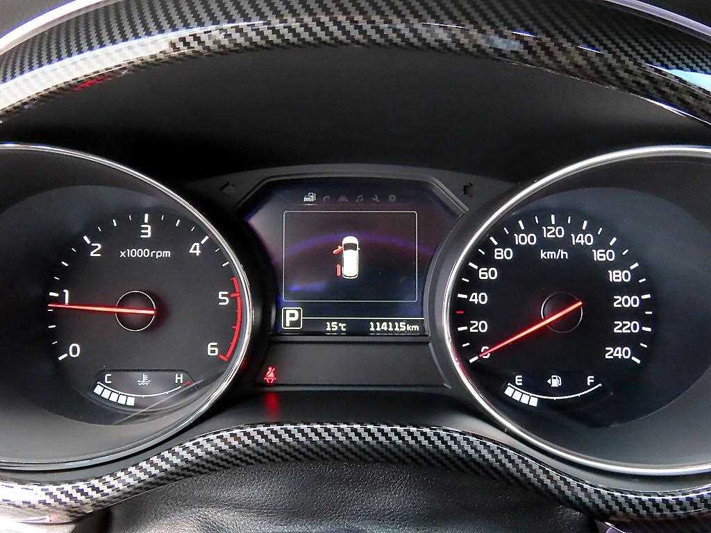 KIA Carnival - Vista 10