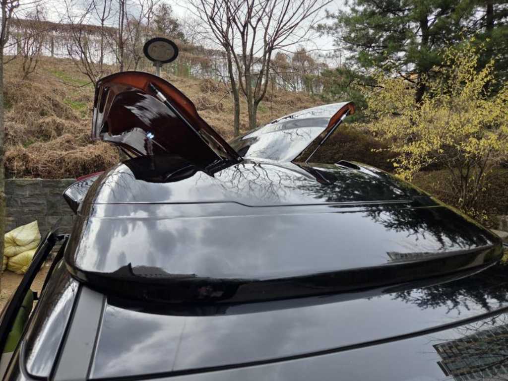 KIA Carnival - Vista 11