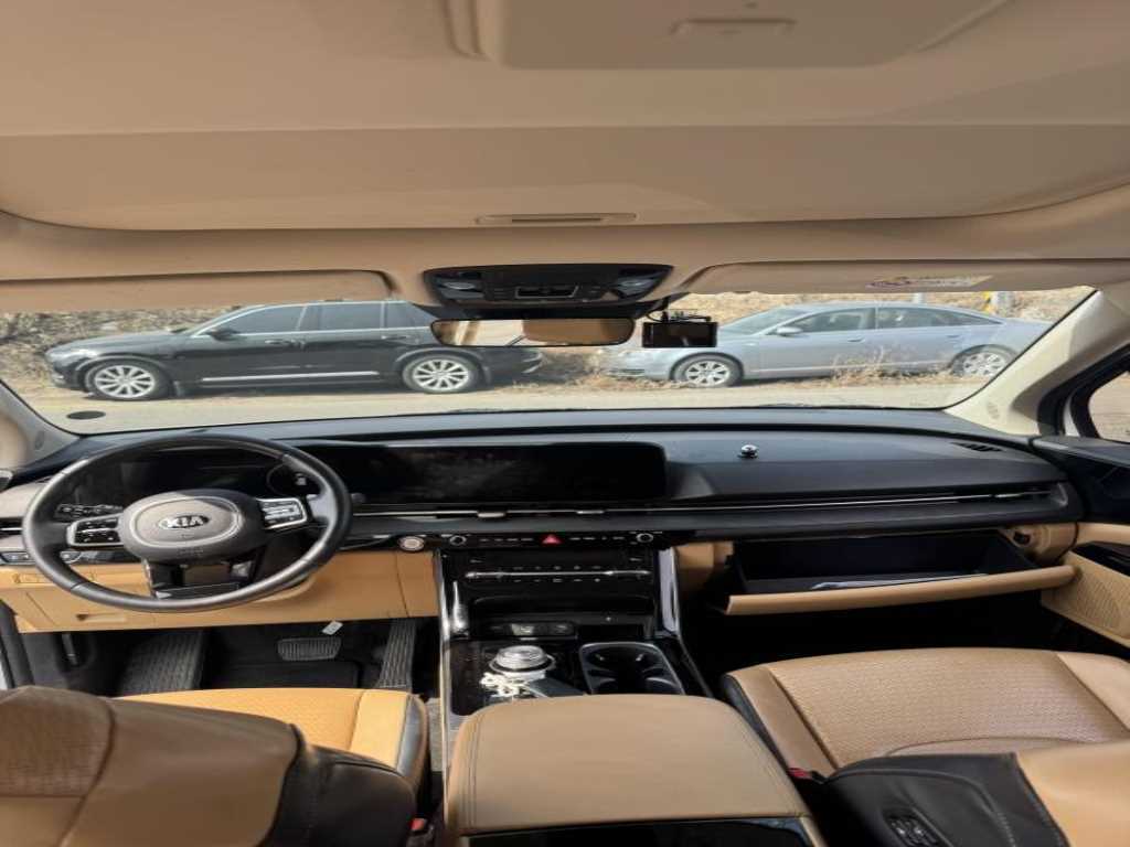 KIA Carnival - Vista 6