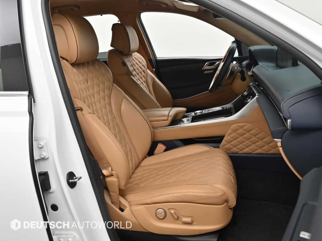 Genesis GV80 - Vista 10