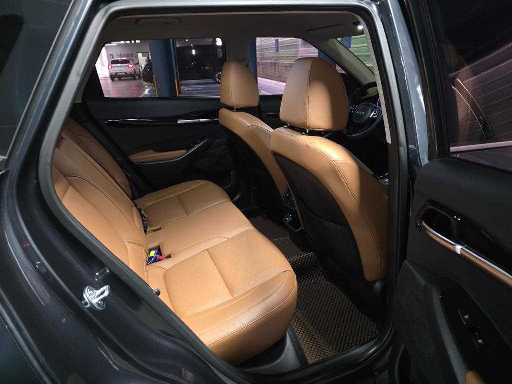 KIA Seltos - Vista 10