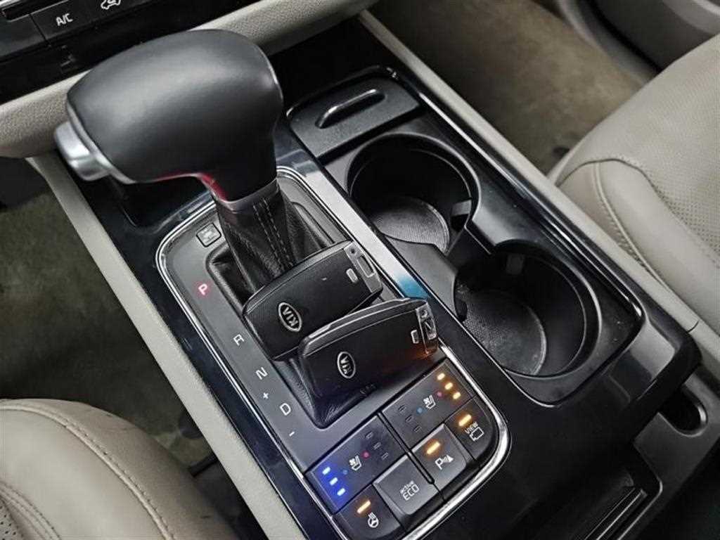 KIA Carnival - Vista 12