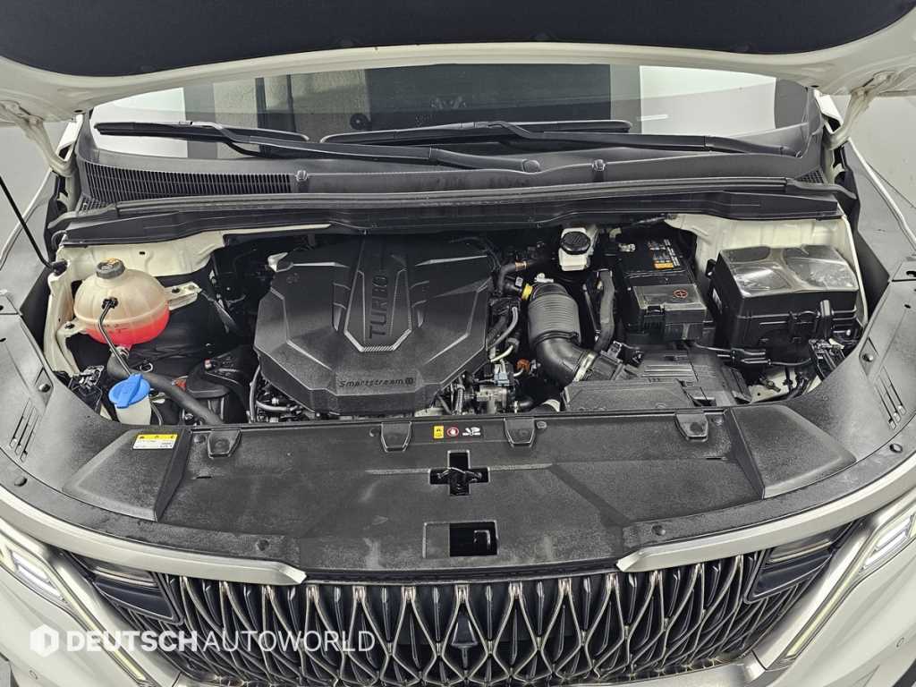 KIA Carnival - Vista 6