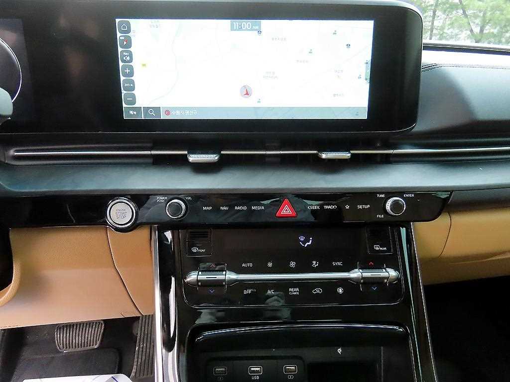 KIA Carnival - Vista 12