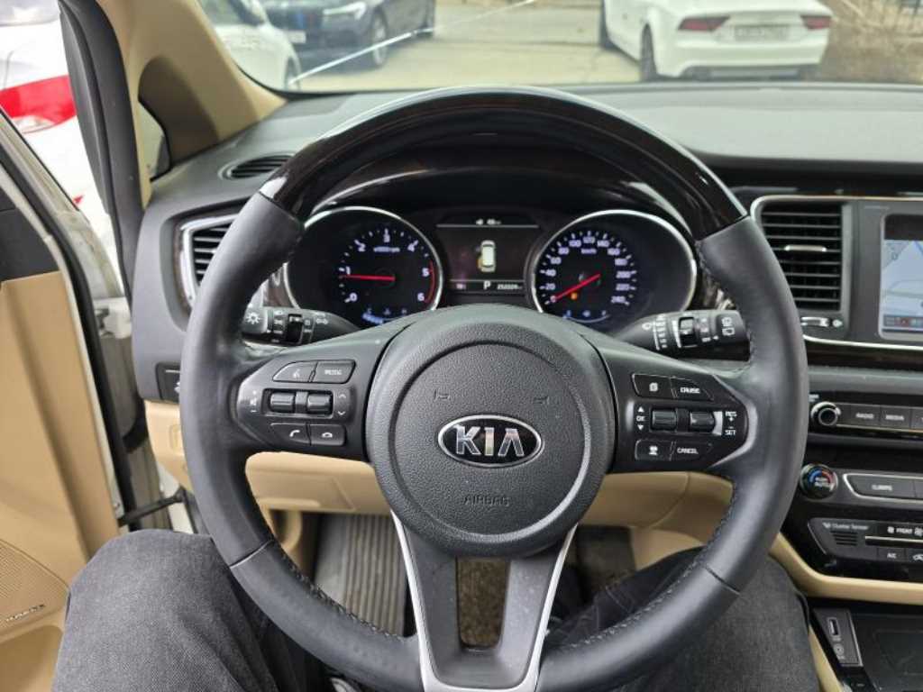 KIA Carnival - Vista 8