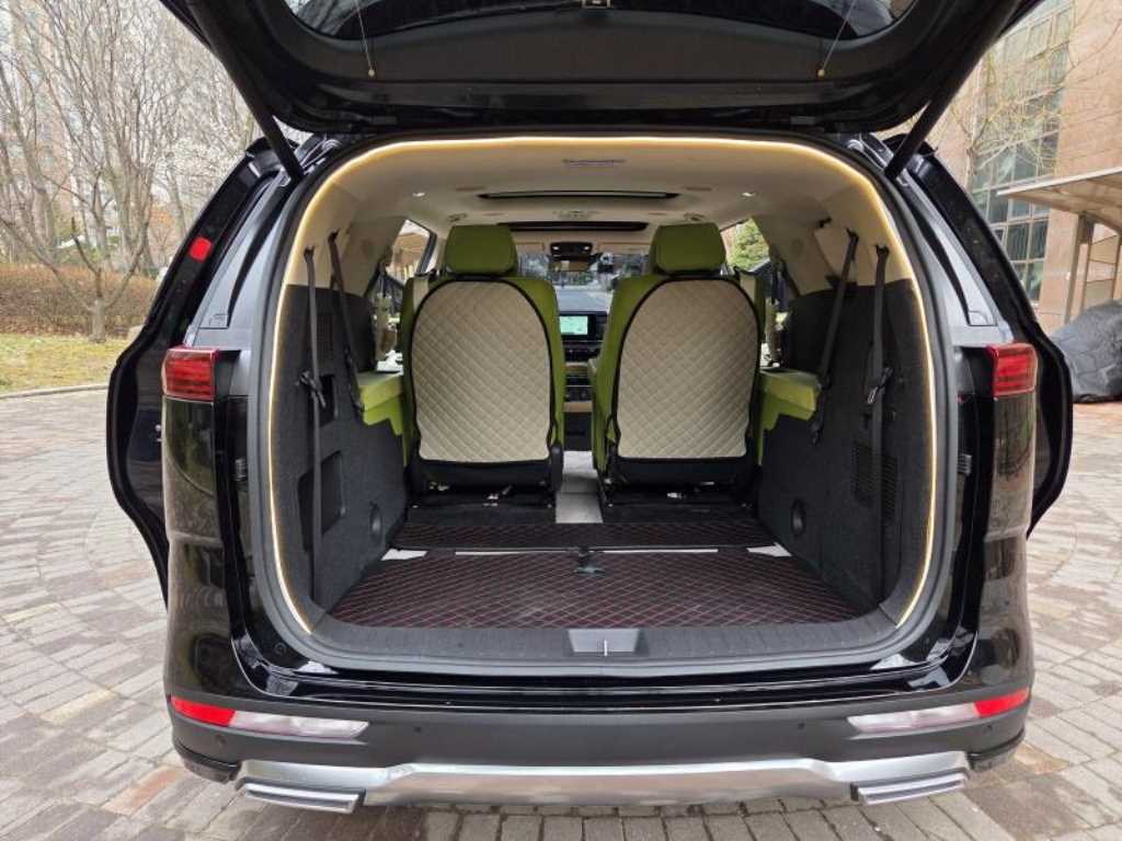 KIA Carnival - Vista 8