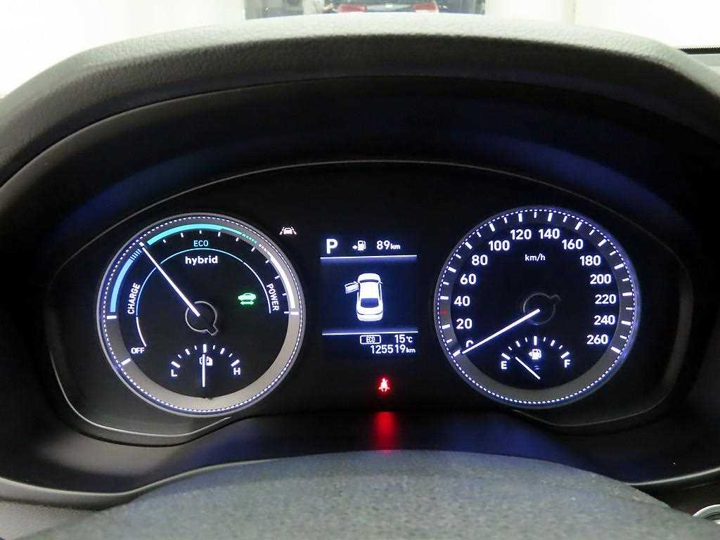 HYUNDAI Grandeur - Vista 6