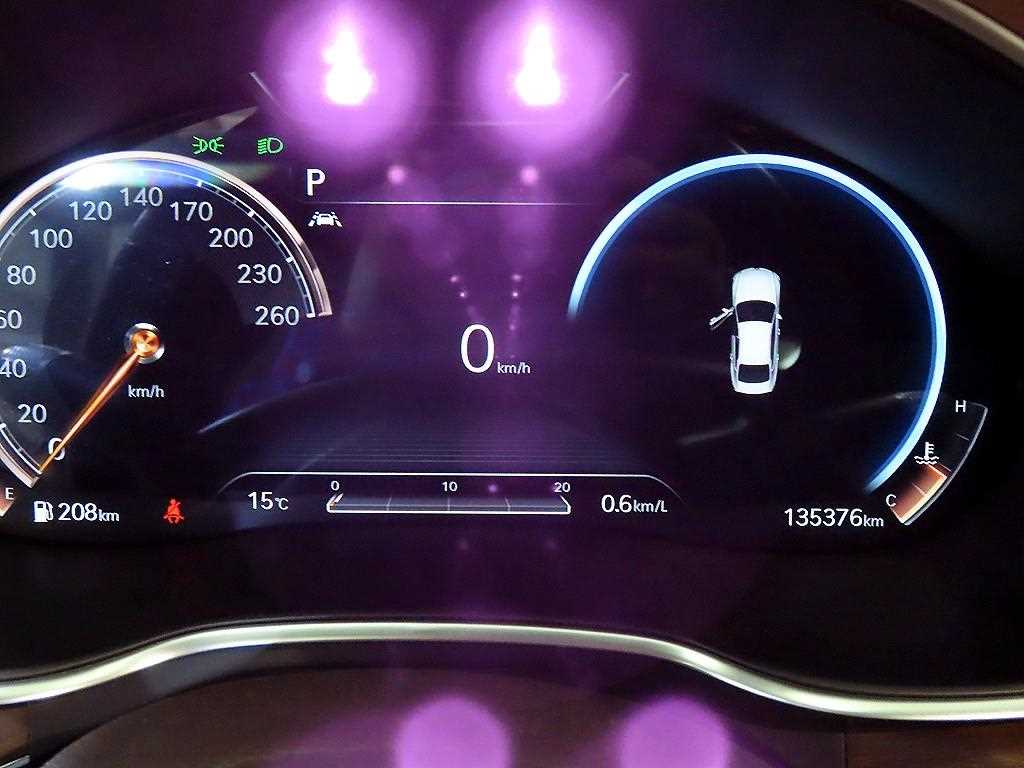 Genesis G80 - Vista 9