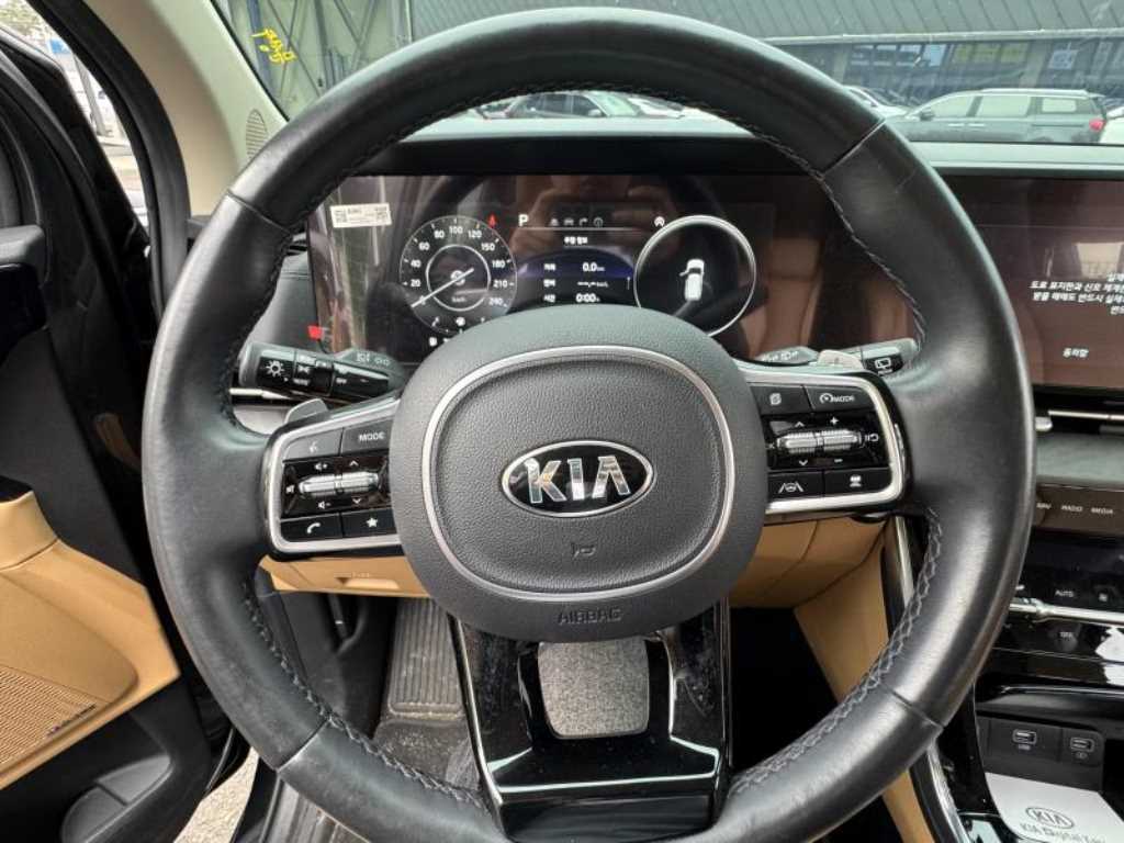 KIA Carnival - Vista 8