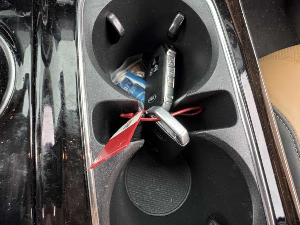 KIA Carnival - Vista 11