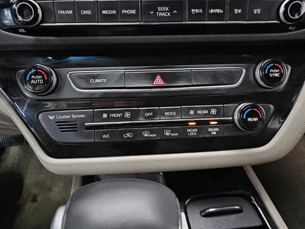 KIA Carnival - Vista 11