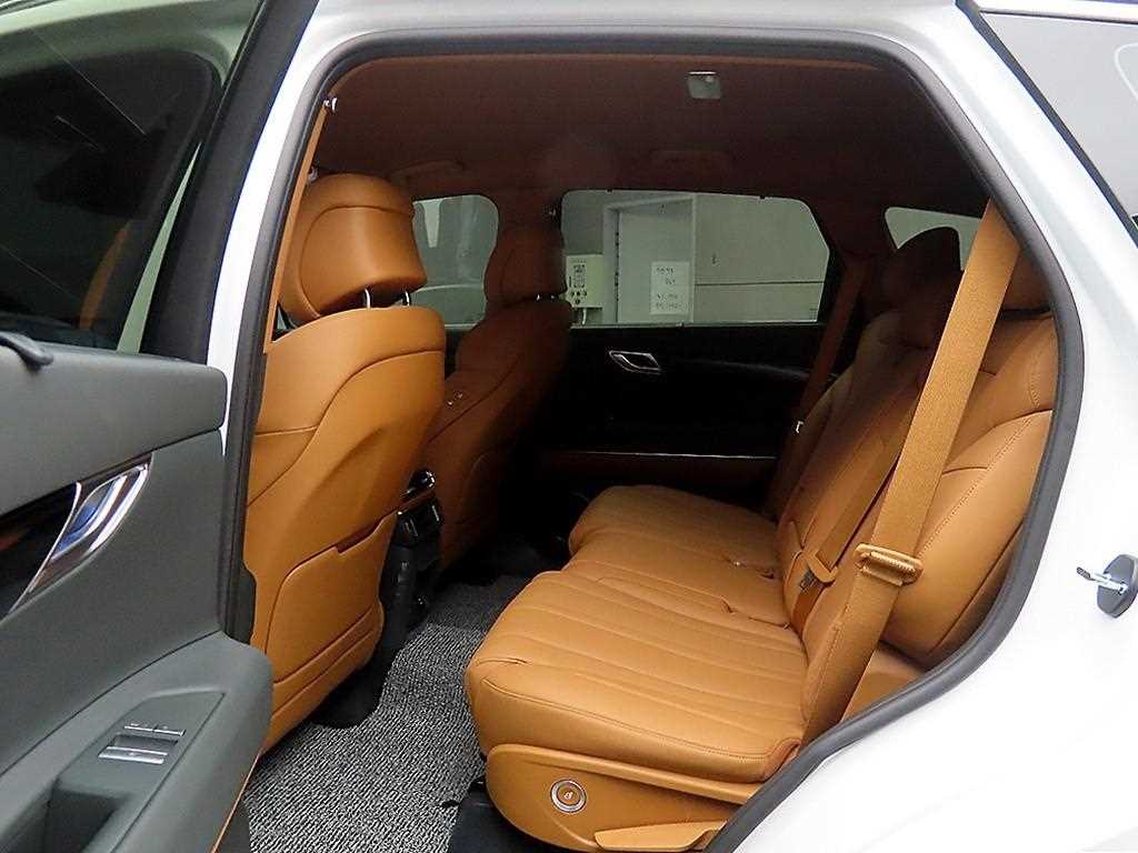 Genesis GV80 - Vista 6