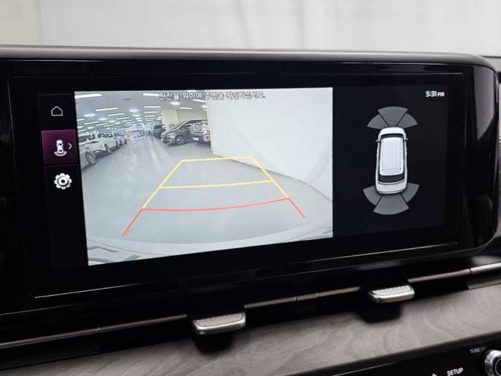 KIA Carnival - Vista 12