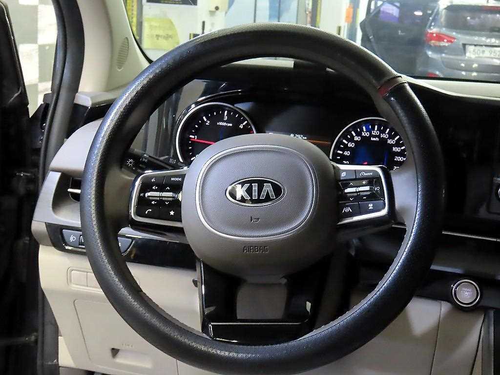KIA Carnival - Vista 8