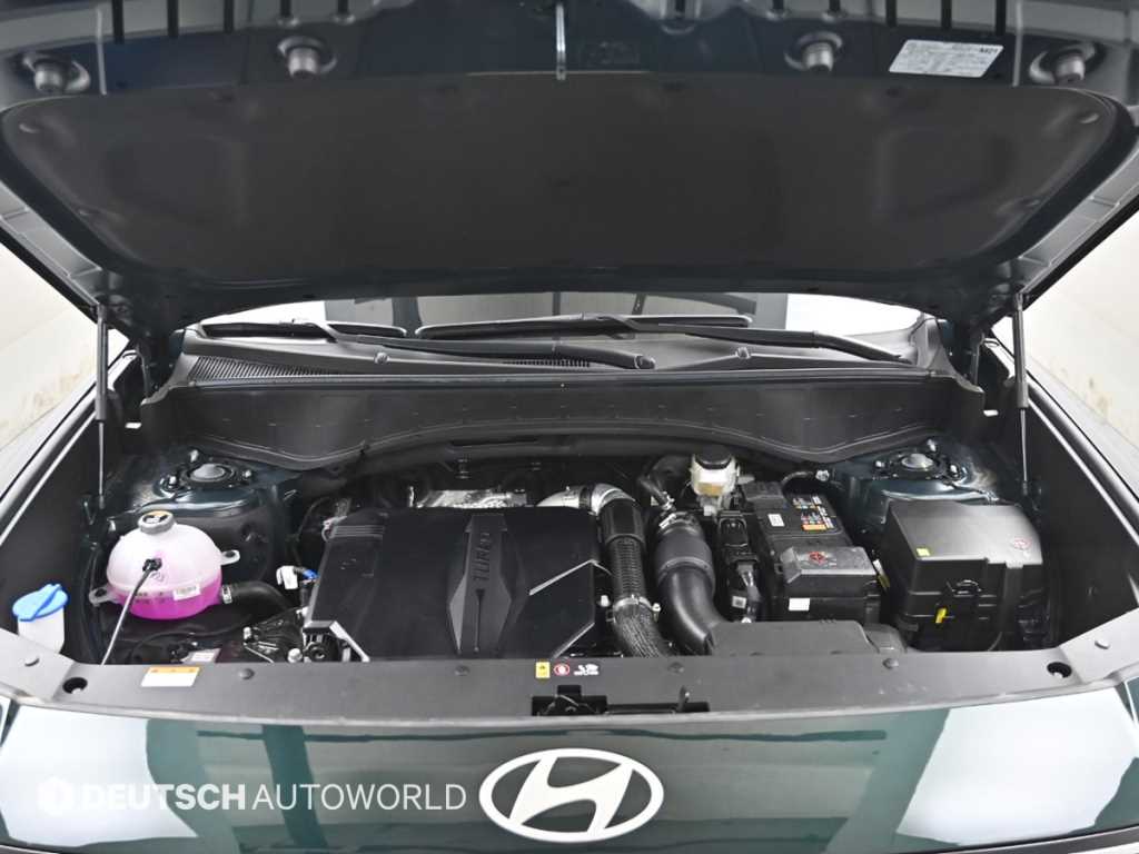 HYUNDAI Palisade - Vista 6