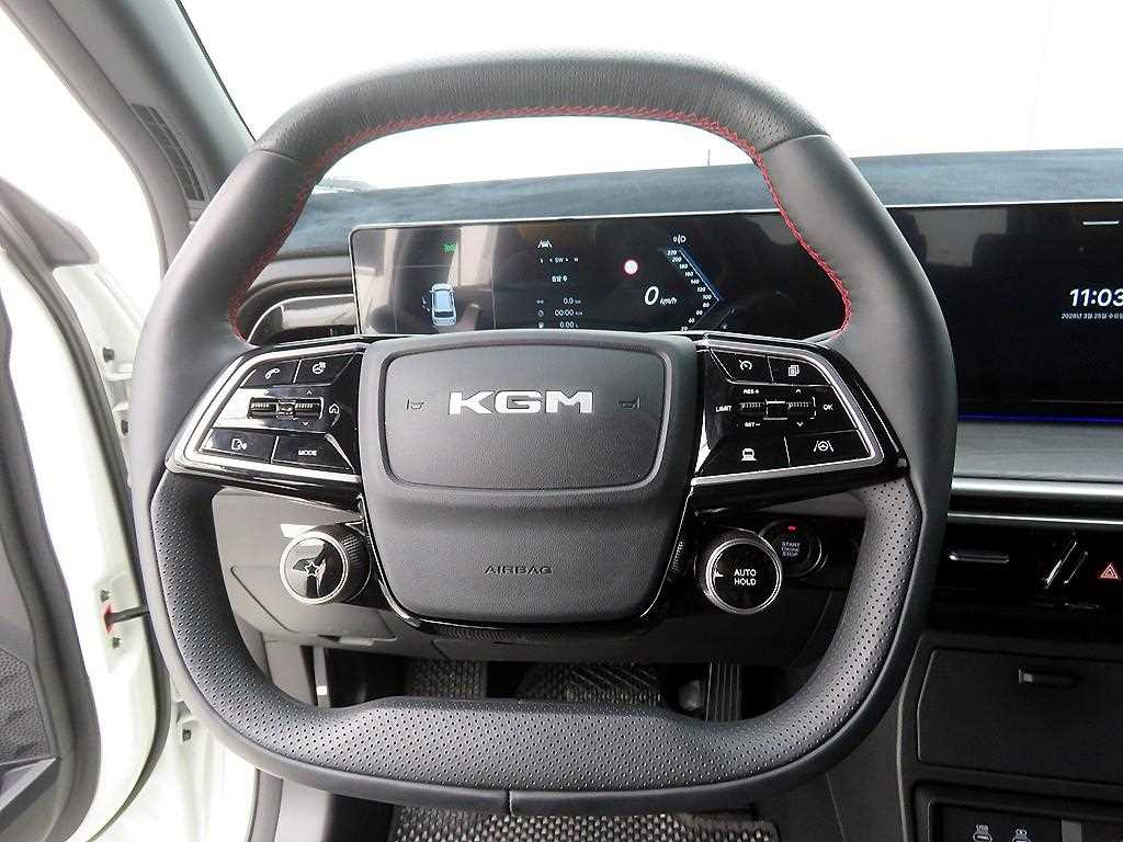 Ssangyong Action - Vista 10