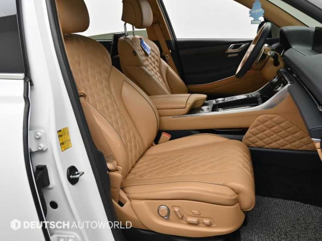 Genesis GV80 - Vista 10