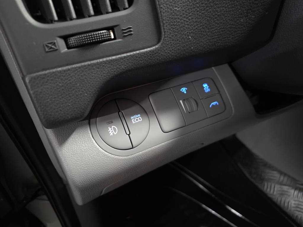 HYUNDAI Starex - Vista 10