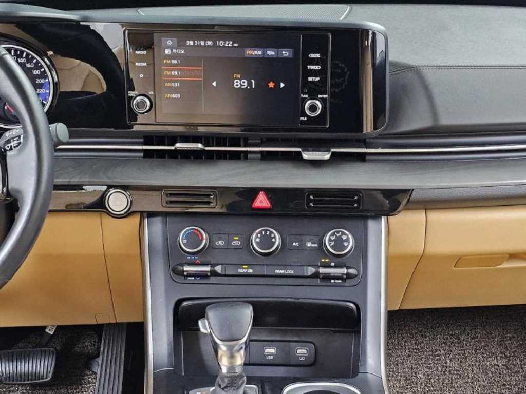 KIA Carnival - Vista 7