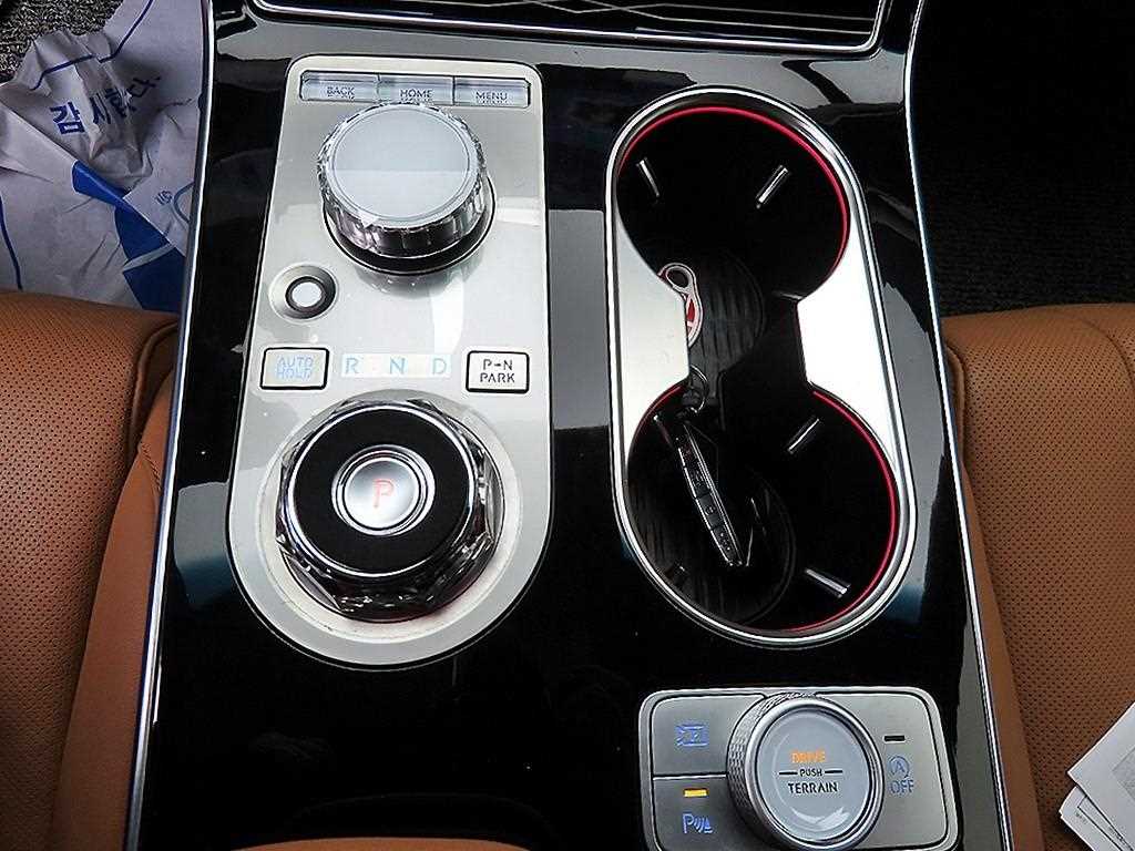 Genesis GV80 - Vista 10