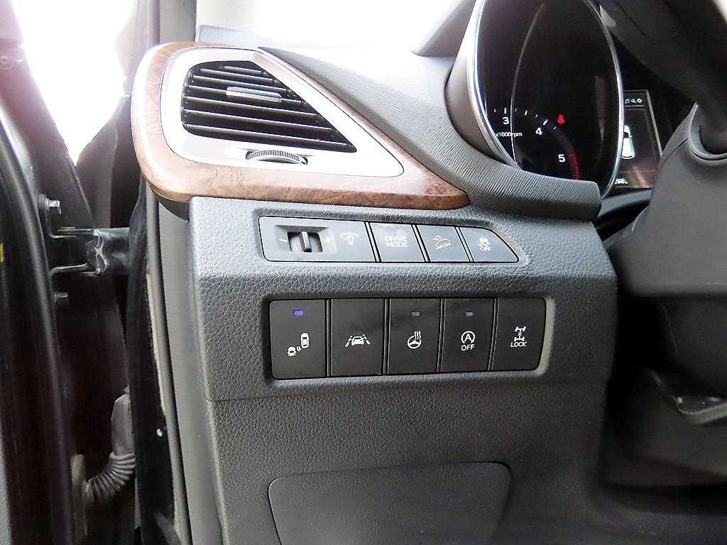 HYUNDAI Maxcruz - Vista 12