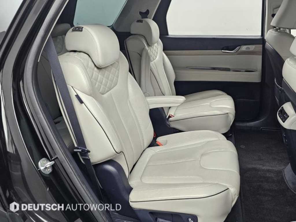 HYUNDAI Palisade - Vista 12