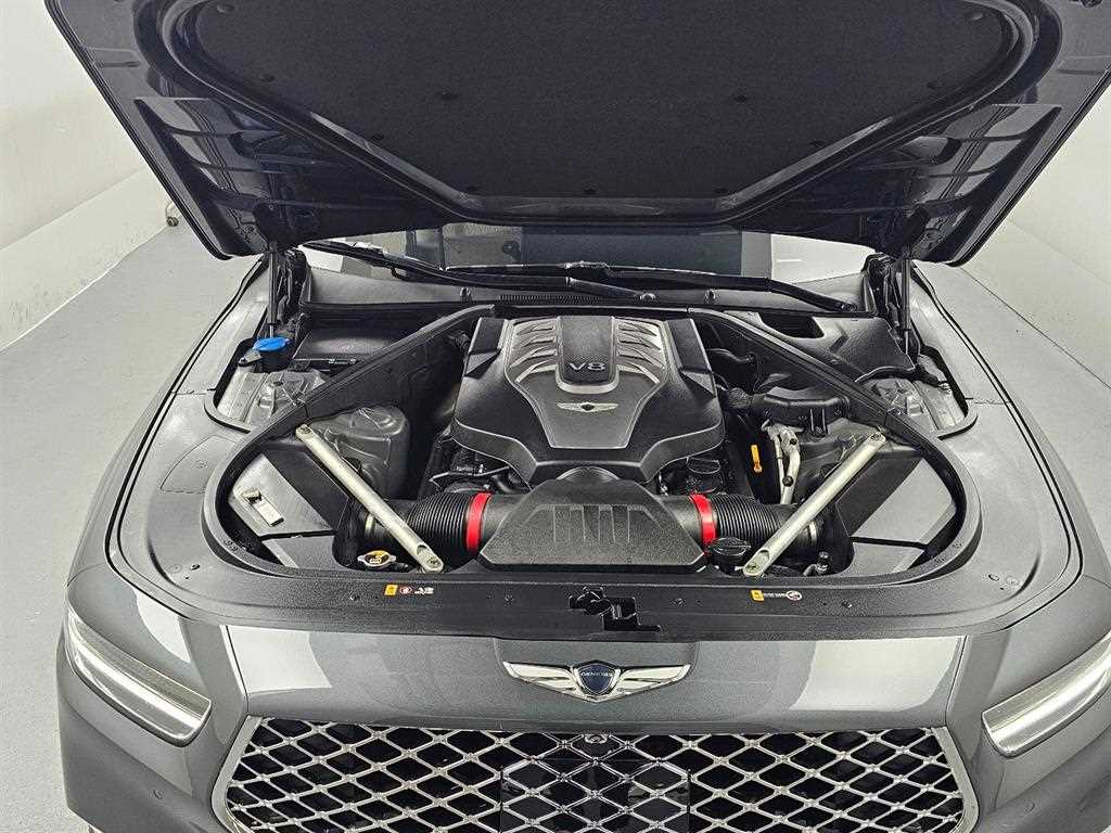 Genesis G90 - Vista 6