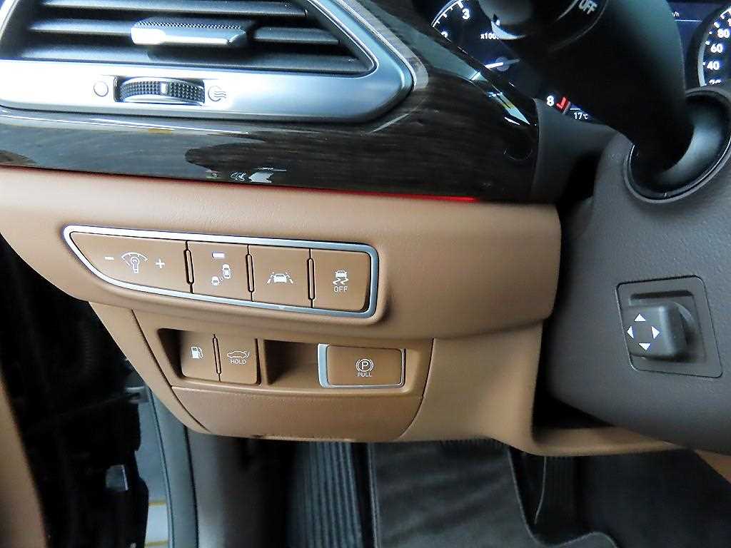 Genesis G90 - Vista 12