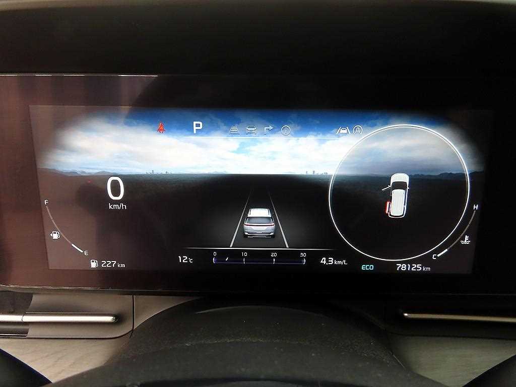 KIA Carnival - Vista 10