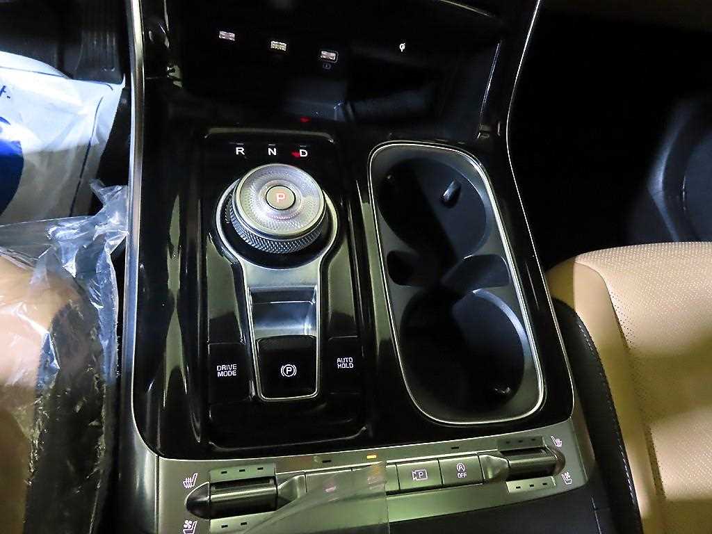 KIA Carnival - Vista 12