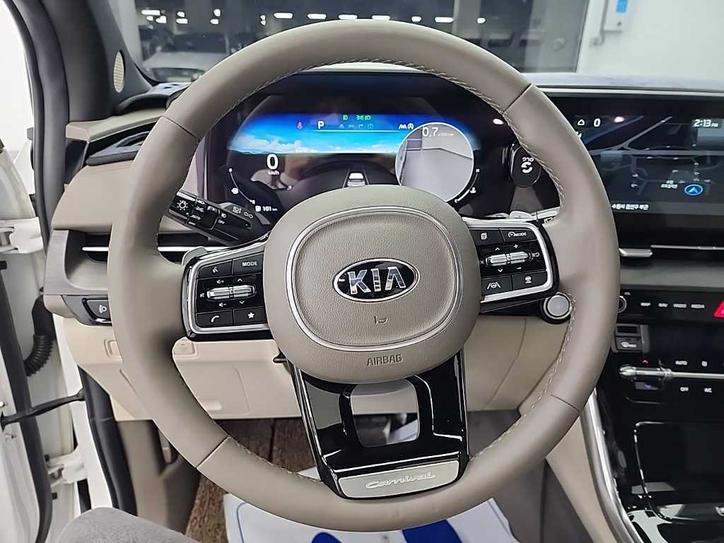 KIA Carnival - Vista 9