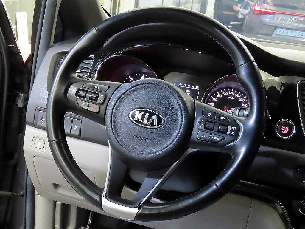 KIA Carnival - Vista 8