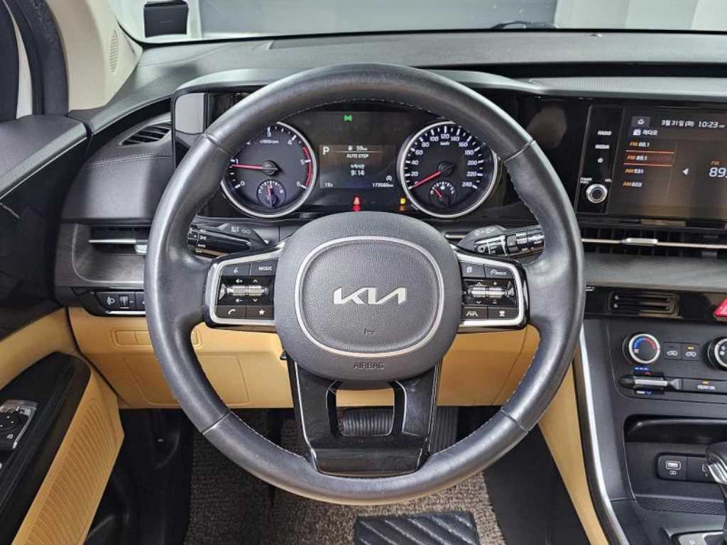 KIA Carnival - Vista 6