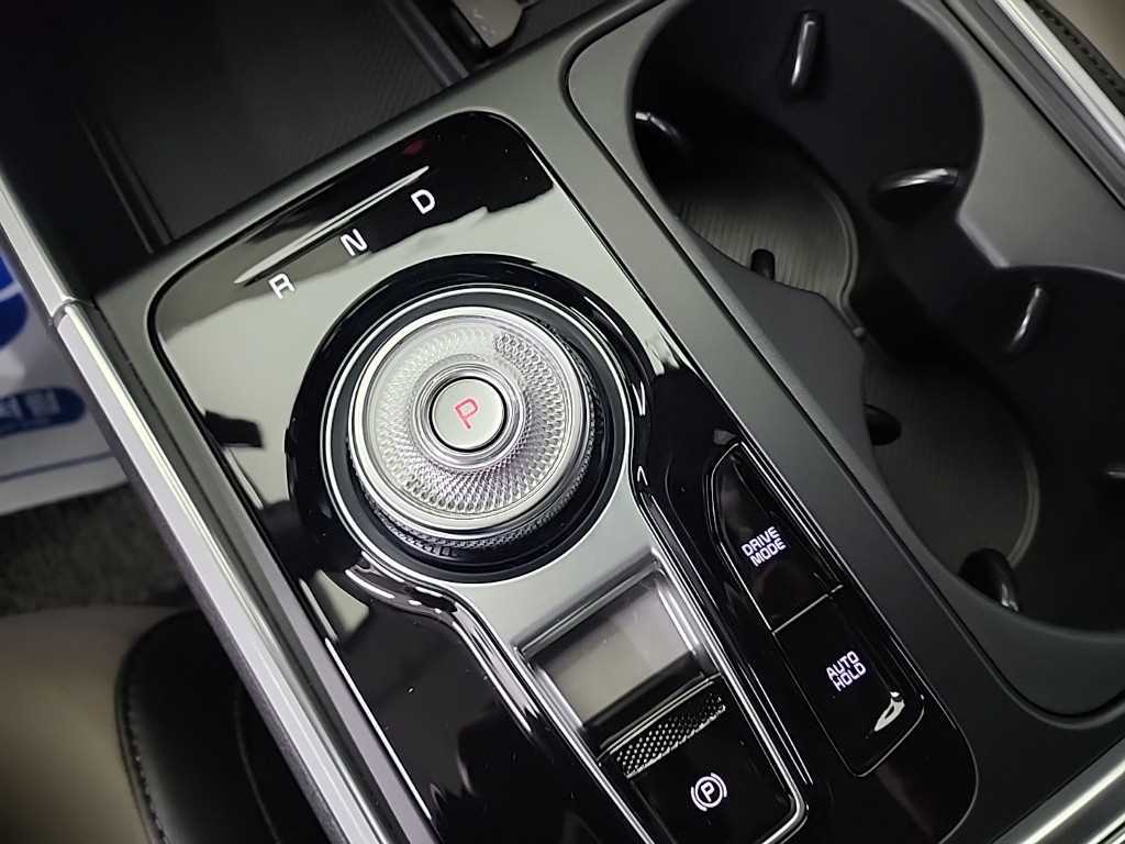 KIA Carnival - Vista 8