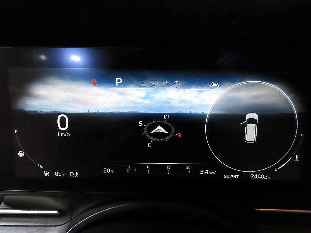 KIA Carnival - Vista 9