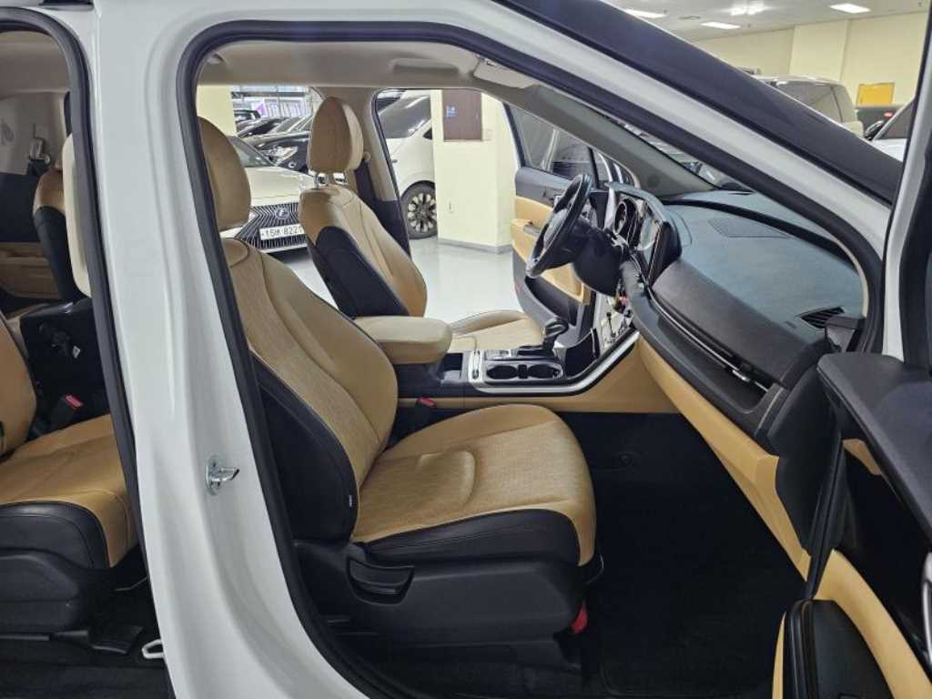 KIA Carnival - Vista 7